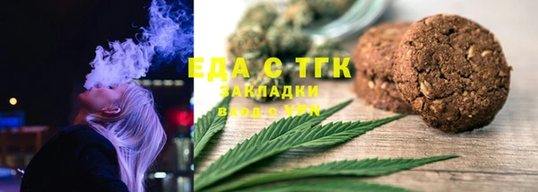 индика Покачи