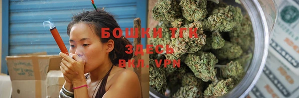 индика Покачи