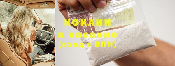 индика Покачи