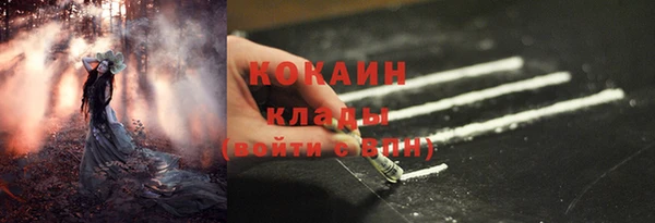 сатива Покровск