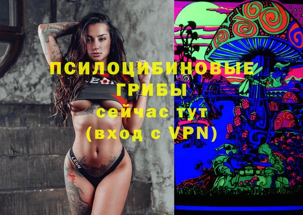 индика Покачи