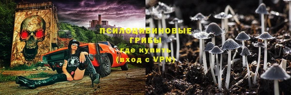 сатива Покровск