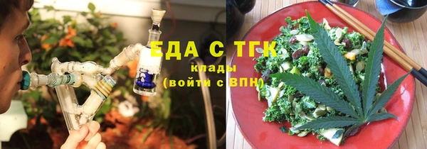 индика Покачи