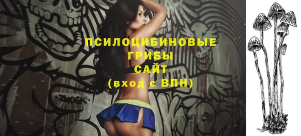 индика Покачи