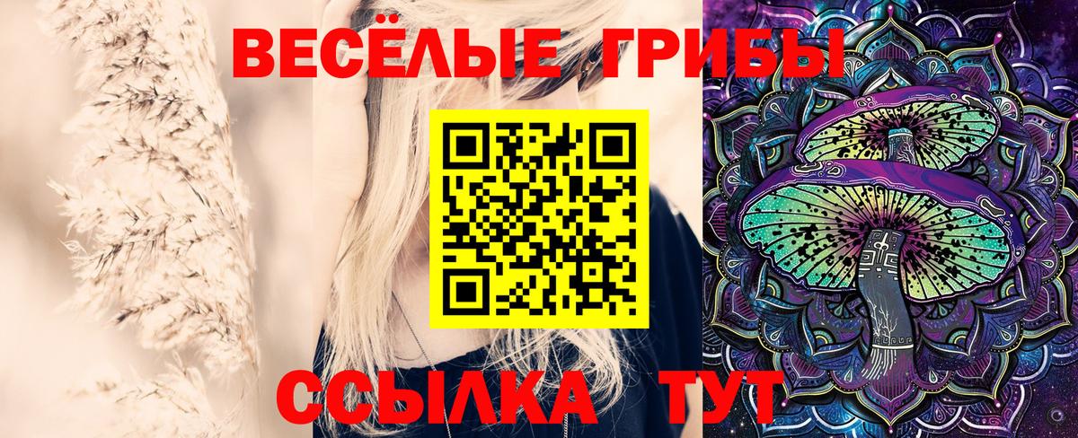 Галлюциногенные грибы мицелий  Северобайкальск 