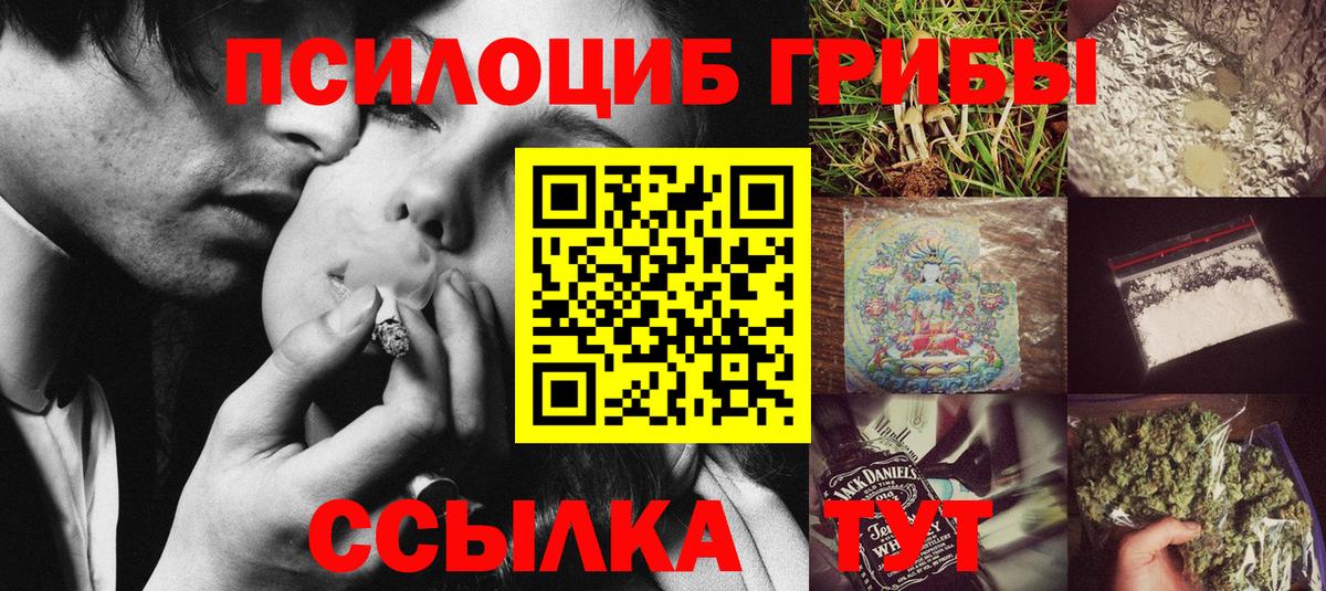 Псилоцибиновые грибы MAGIC MUSHROOMS Северобайкальск